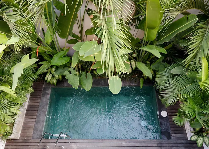 Sunny Cuddles 2br In Prime Location Villa